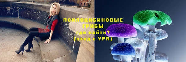 ГАЛЛЮЦИНОГЕННЫЕ ГРИБЫ Армянск