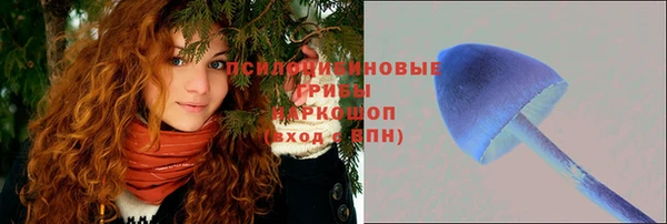 ГАЛЛЮЦИНОГЕННЫЕ ГРИБЫ Армянск