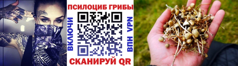 Галлюциногенные грибы Cubensis  Купить  Нарткала 